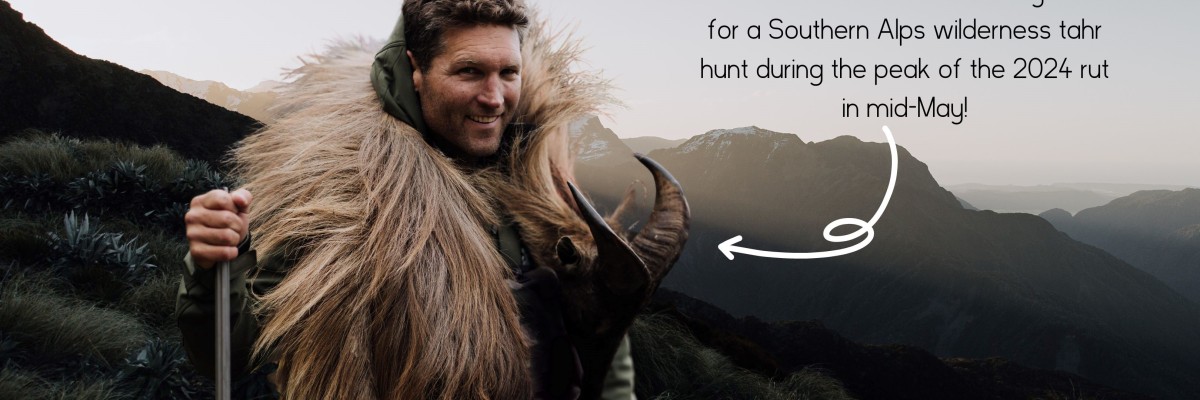 Banner 1 2024 Renewal