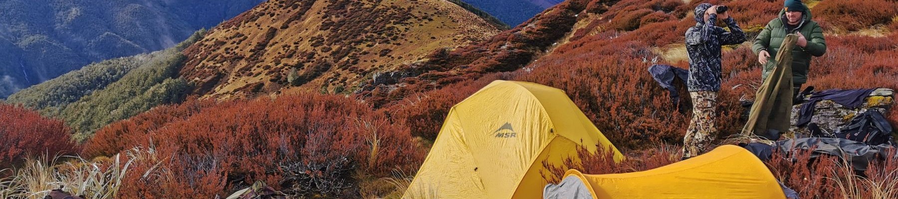 Nelson Lakes 10 Chamois Buck