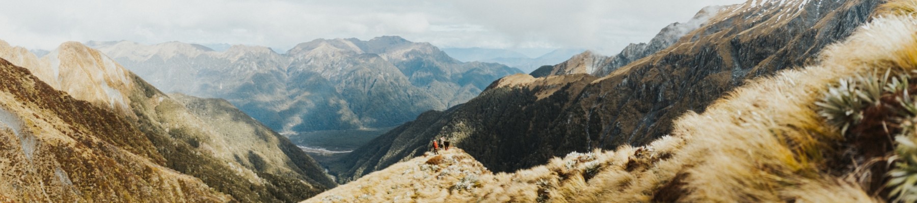 New Member 2025 Website Cover