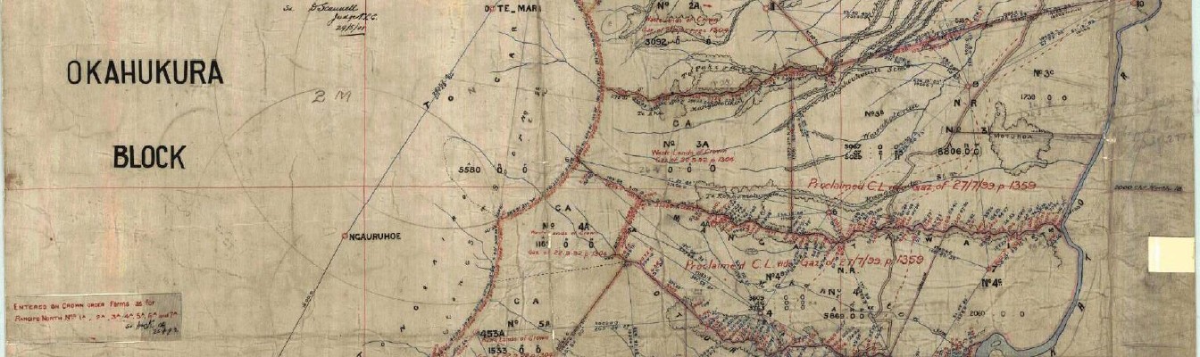 Rangipo survey map 1891