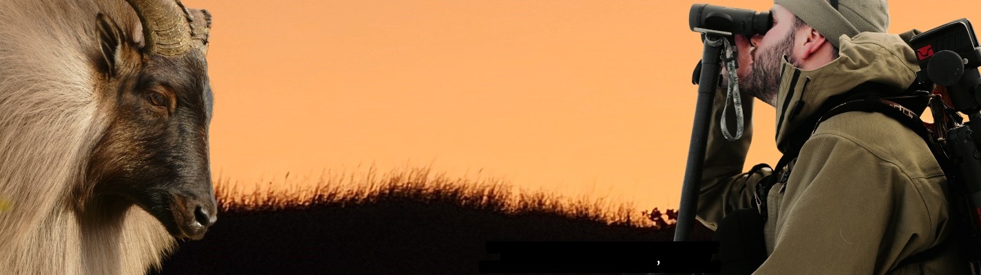 Renewal Website Banner 2025 new size5