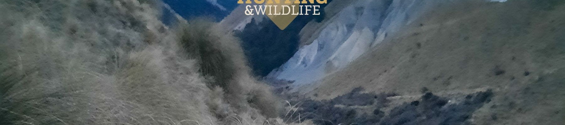 Wallabies within hopping distance of your happy hunting grounds