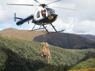 Kaimanawa Remote Experience Zone Aerial Deer Management